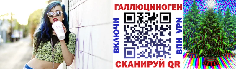 Псилоцибиновые грибы Psilocybe  Кондопога 