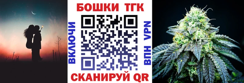 наркота  Кондопога  Конопля сатива 